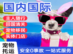 黑河航空运输国际宠物托运 【国